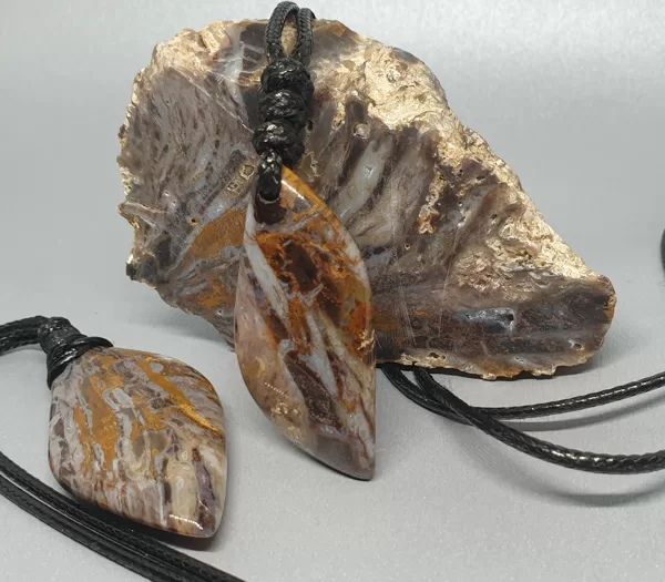 PĀRAKMEŅOJIES KOKS (petrifield wood). ASV
